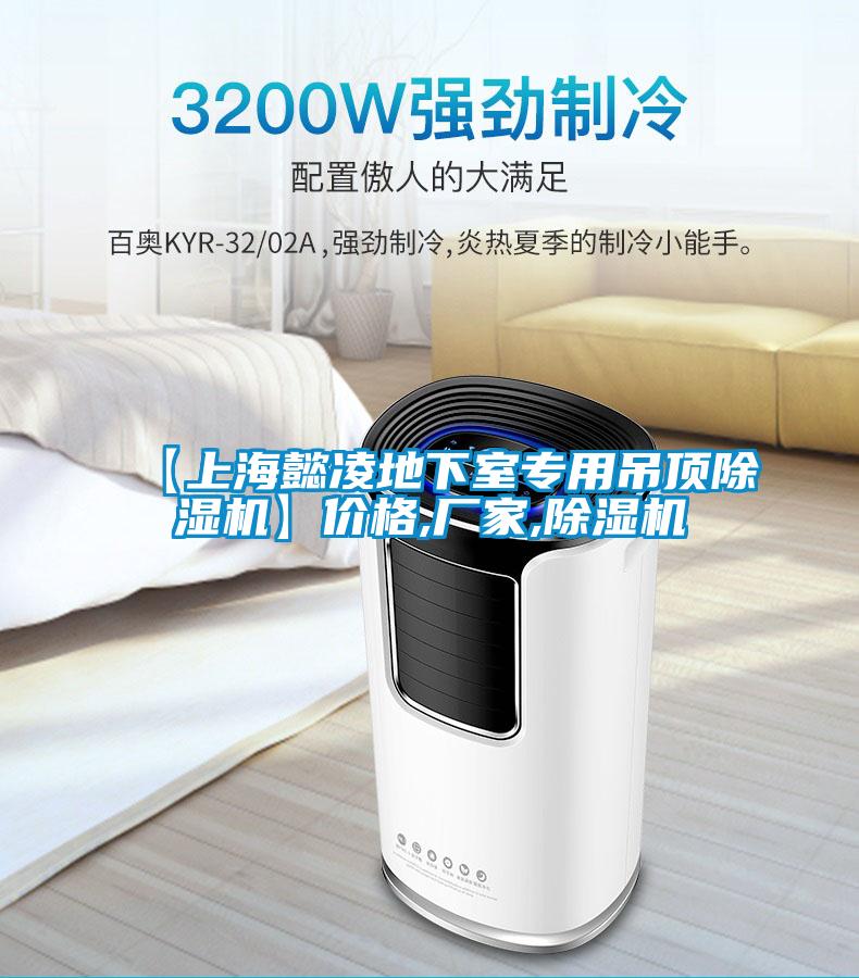 【上海懿凌地下室專用吊頂除濕機(jī)】價格,廠家,除濕機(jī)