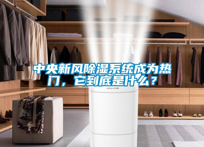 中央新風(fēng)除濕系統(tǒng)成為熱門，它到底是什么？