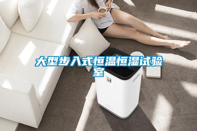 大型步入式恒溫恒濕試驗室