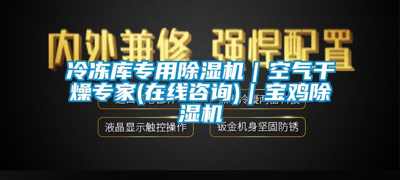 冷凍庫(kù)專(zhuān)用除濕機(jī)｜空氣干燥專(zhuān)家(在線咨詢(xún))｜寶雞除濕機(jī)