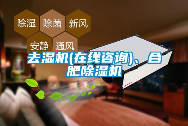 去濕機(jī)(在線咨詢)、合肥除濕機(jī)