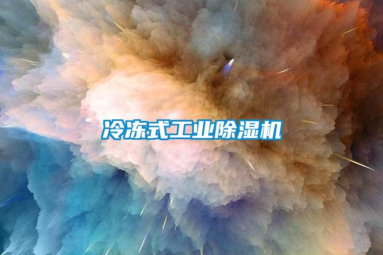 冷凍式工業除濕機