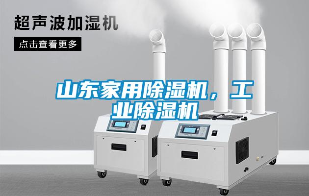 山東家用除濕機，工業(yè)除濕機