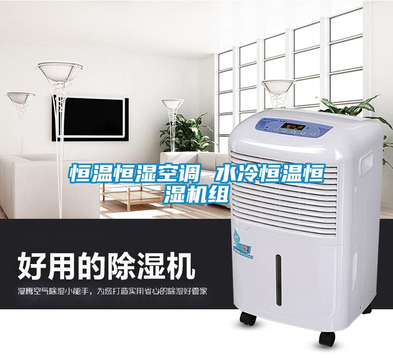 恒溫恒濕空調 水冷恒溫恒濕機組