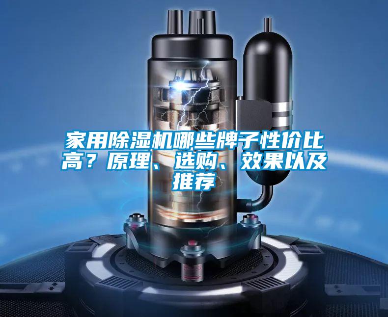 家用除濕機哪些牌子性價比高？原理、選購、效果以及推薦