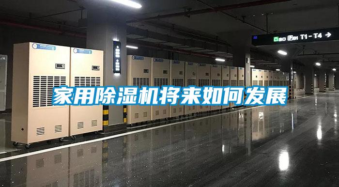 家用除濕機(jī)將來如何發(fā)展