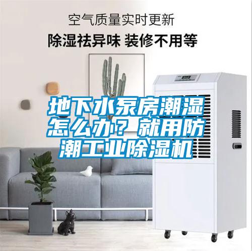 地下水泵房潮濕怎么辦？就用防潮工業(yè)除濕機
