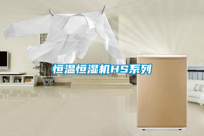 恒溫恒濕機(jī)HS系列