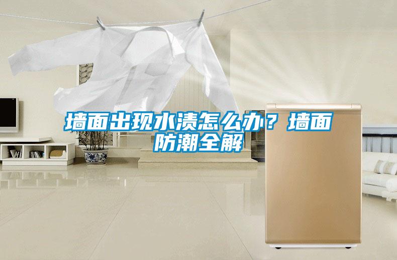 墻面出現水漬怎么辦？墻面防潮全解