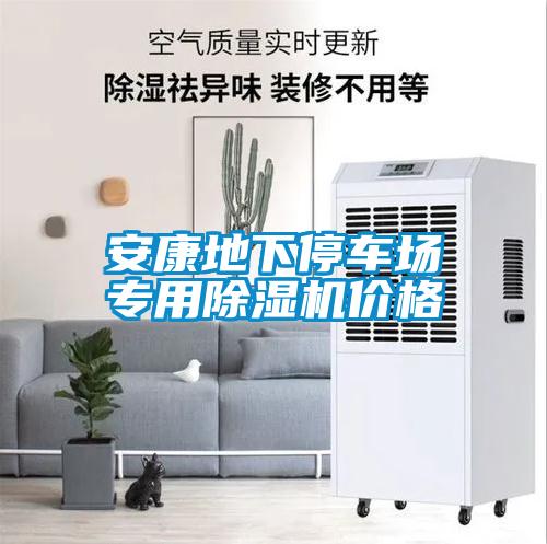 安康地下停車場專用除濕機(jī)價格