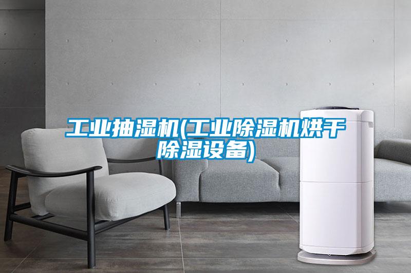 工業(yè)抽濕機(工業(yè)除濕機烘干除濕設(shè)備)
