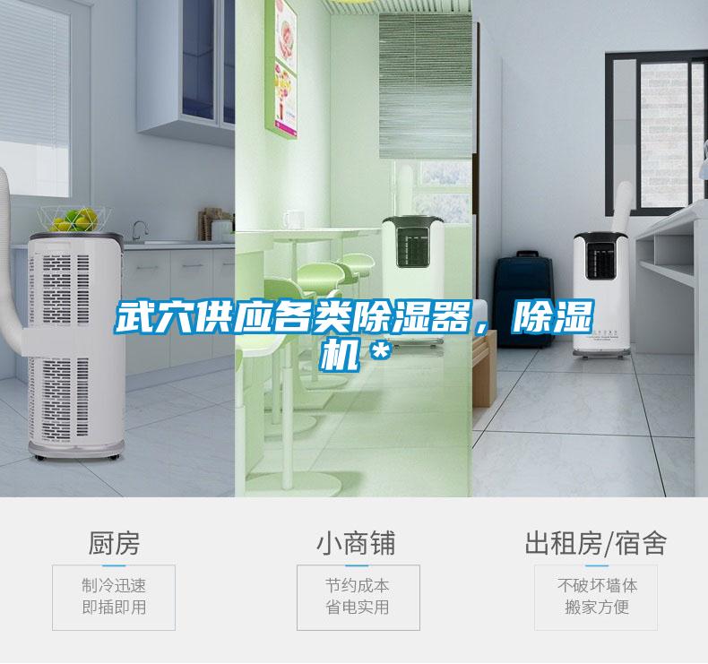 武穴供應各類除濕器，除濕機＊