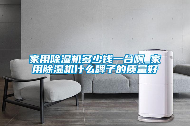 家用除濕機(jī)多少錢一臺(tái)啊_家用除濕機(jī)什么牌子的質(zhì)量好