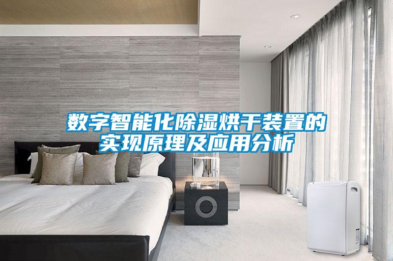 數字智能化除濕烘干裝置的實現原理及應用分析