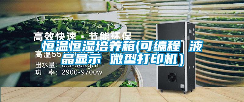 恒溫恒濕培養箱(可編程 液晶顯示 微型打印機）