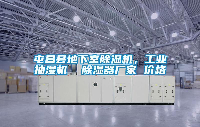屯昌縣地下室除濕機，工業(yè)抽濕機  除濕器廠家 價格