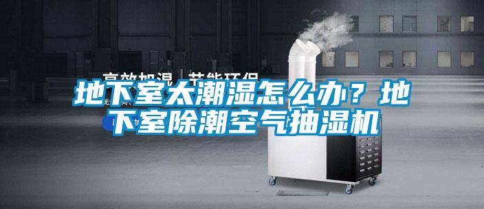 地下室太潮濕怎么辦？地下室除潮空氣抽濕機(jī)