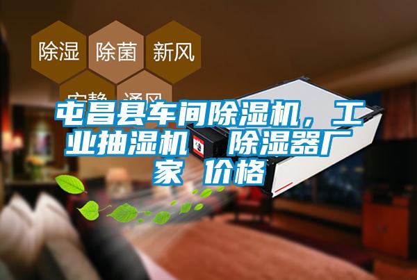 屯昌縣車(chē)間除濕機(jī)，工業(yè)抽濕機(jī)  除濕器廠家 價(jià)格