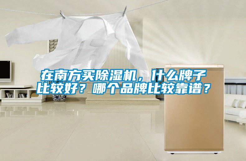 在南方買除濕機，什么牌子比較好？哪個品牌比較靠譜？