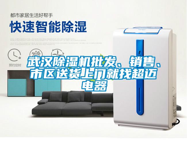 武漢除濕機批發、銷售、市區送貨上門就找超邁電器