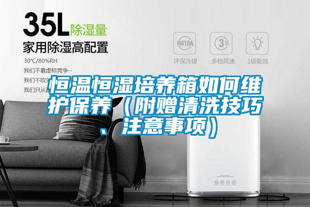 恒溫恒濕培養(yǎng)箱如何維護(hù)保養(yǎng)（附贈清洗技巧、注意事項(xiàng)）