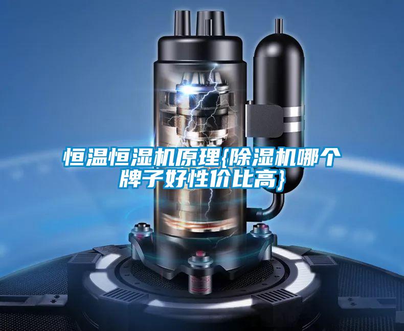 恒溫恒濕機(jī)原理{除濕機(jī)哪個牌子好性價比高}
