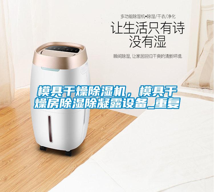 模具干燥除濕機，模具干燥房除濕除凝露設備_重復