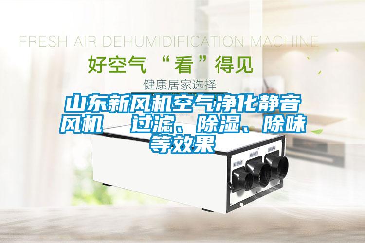 山東新風(fēng)機(jī)空氣凈化靜音風(fēng)機(jī)  過(guò)濾、除濕、除味等效果