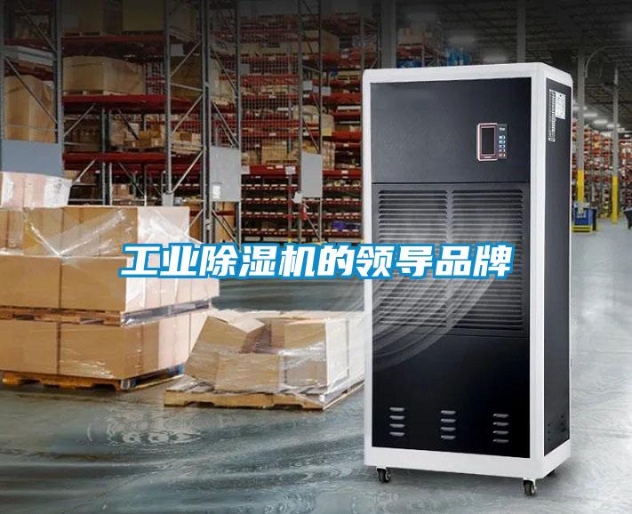 工業(yè)除濕機的領(lǐng)導(dǎo)品牌