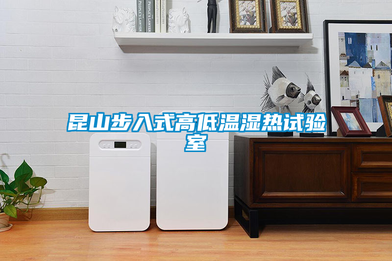 昆山步入式高低溫濕熱試驗(yàn)室