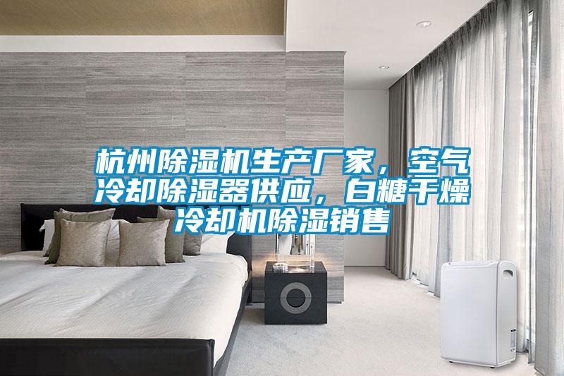 杭州除濕機生產(chǎn)廠家，空氣冷卻除濕器供應，白糖干燥冷卻機除濕銷售