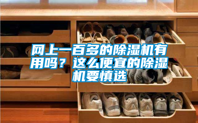 網(wǎng)上一百多的除濕機(jī)有用嗎？這么便宜的除濕機(jī)要慎選
