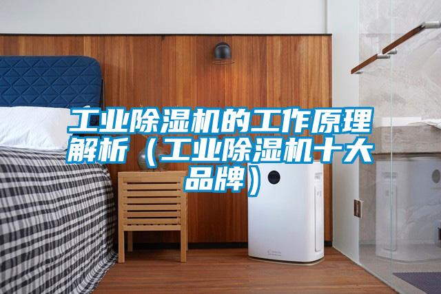 工業除濕機的工作原理解析（工業除濕機十大品牌）