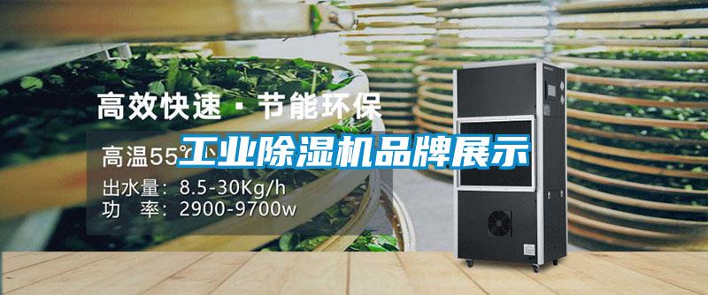 工業除濕機品牌展示