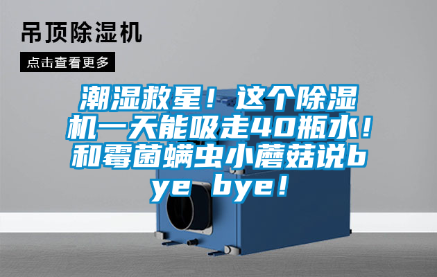 潮濕救星！這個除濕機一天能吸走40瓶水！和霉菌螨蟲小蘑菇說bye bye！