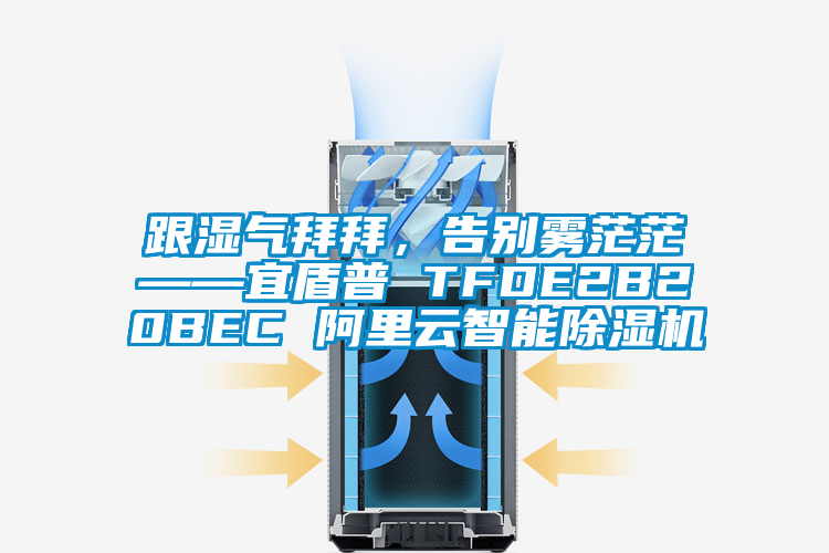 跟濕氣拜拜，告別霧茫?！硕芷?TFDE2B20BEC 阿里云智能除濕機