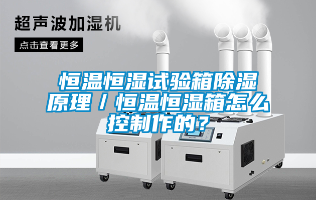 恒溫恒濕試驗箱除濕原理／恒溫恒濕箱怎么控制作的？