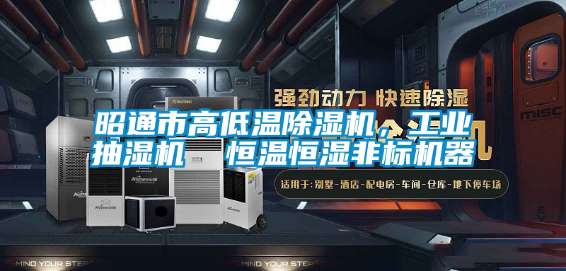 昭通市高低溫除濕機，工業抽濕機  恒溫恒濕非標機器