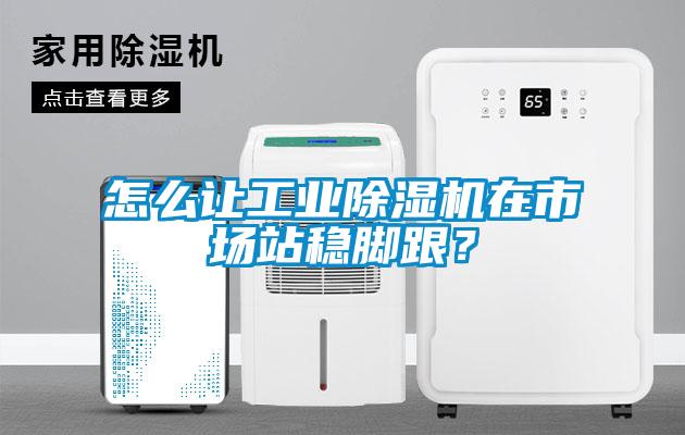 怎么讓工業(yè)除濕機在市場站穩(wěn)腳跟？