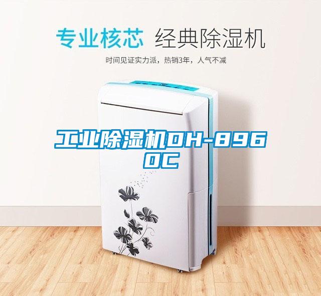 工業(yè)除濕機(jī)DH-8960C
