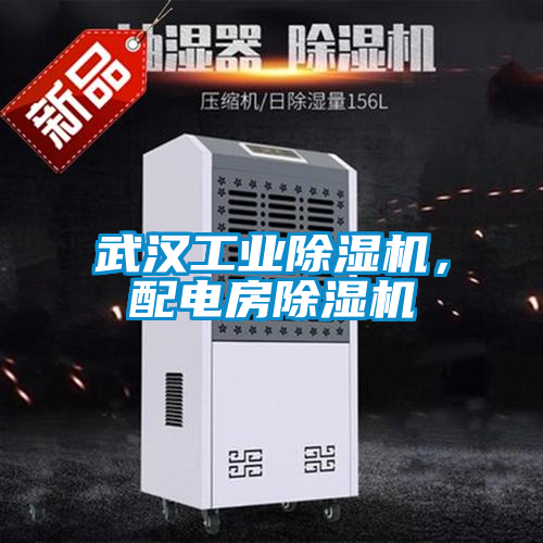 武漢工業除濕機，配電房除濕機