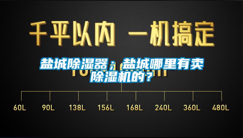 鹽城除濕器；鹽城哪里有賣除濕機的？