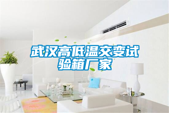 武漢高低溫交變?cè)囼?yàn)箱廠家