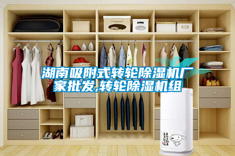 湖南吸附式轉輪除濕機廠家批發,轉輪除濕機組