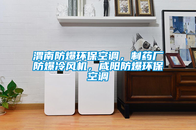 渭南防爆環?？照{，制藥廠防爆冷風機，咸陽防爆環?？照{
