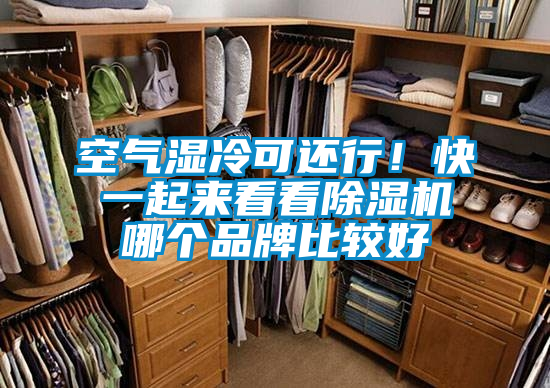 空氣濕冷可還行！快一起來看看除濕機(jī)哪個品牌比較好