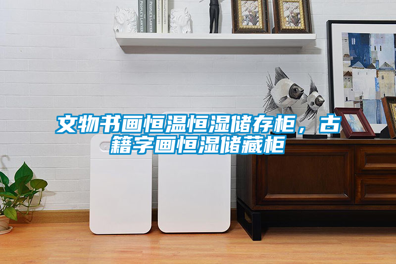 文物書畫恒溫恒濕儲存柜，古籍字畫恒濕儲藏柜