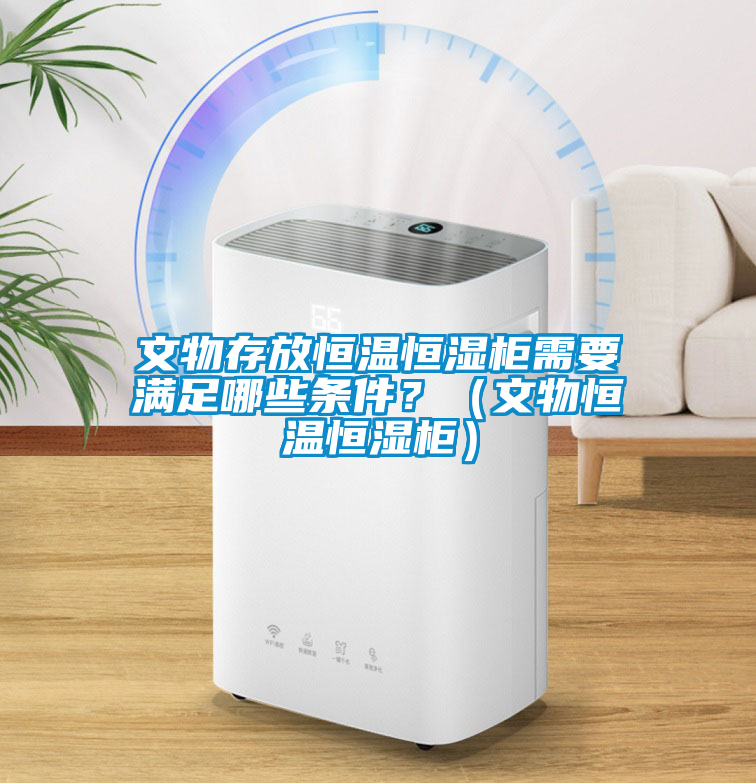 文物存放恒溫恒濕柜需要滿足哪些條件？（文物恒溫恒濕柜）