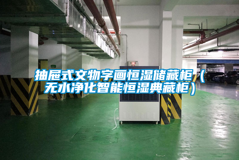抽屜式文物字畫恒濕儲(chǔ)藏柜（無水凈化智能恒濕典藏柜）