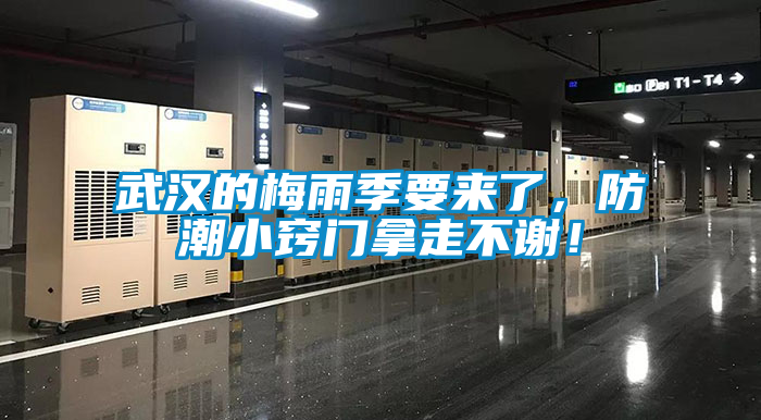 武漢的梅雨季要來了，防潮小竅門拿走不謝！